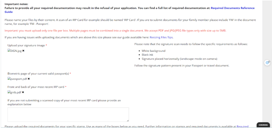 INIS required documents