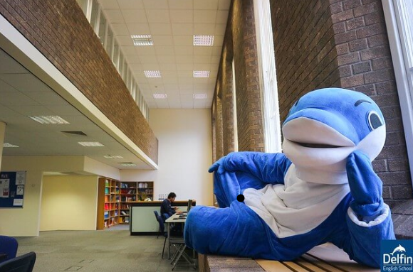 delfin.png
